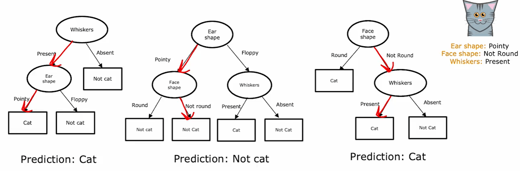 Bagging random forest and boosting