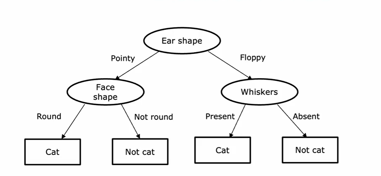 Decision tree structure